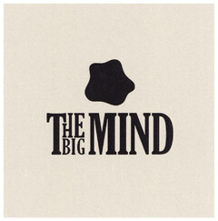 THE BIG MIND