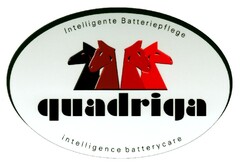 Intelligente Batteriepflege quadriga intelligence batterycare