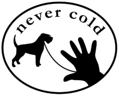 never cold