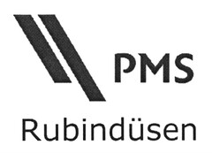 PMS Rubindüsen