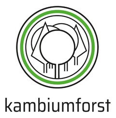 kambiumforst