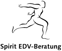 Spirit EDV-Beratung