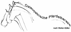 Osteopathische Pferdetherapie nach Welter-Böller