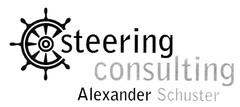 steering consulting Alexander Schuster