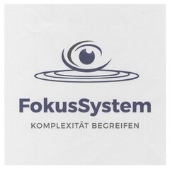 FokusSystem KOMPLEXITÄT BEGREIFEN