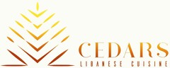CEDARS LIBANESE CUISINE