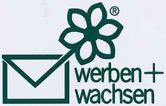 werben+wachsen