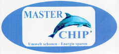 MASTER CHIP