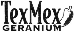 TexMex