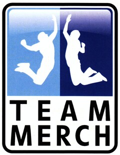 TEAM MERCH