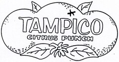 TAMPICO CITRUS PUNCH