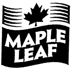 MAPLE LEAF