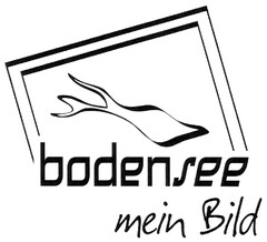 bodensee mein Bild