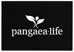 pangaea·life