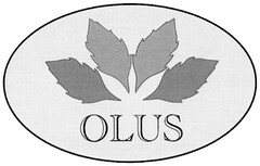 OLUS