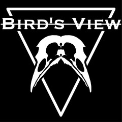 BIRD'S VIEW