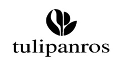 tulipanros