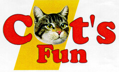 Cat's Fun