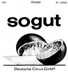 sogut Deutsche Citrus GmbH