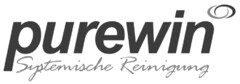 purewin Systemische Reinigung