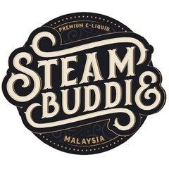 STEAM BUDDIE