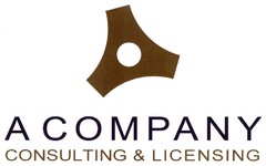 A COMPANY CONSULTING & LICENSING