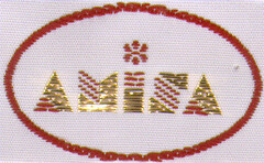 AMISA