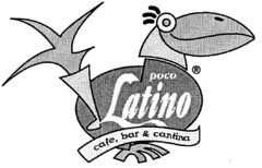 poco Latino cafe, bar & cantina