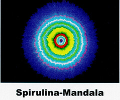 Spirulina-Mandala