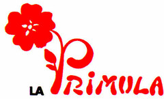 PRiMULA