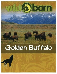 wildborn Golden Buffalo