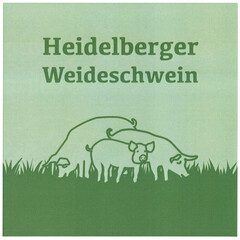 Heidelberger Weideschwein