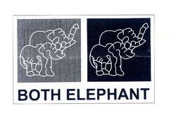 BOTH ELEPHANT