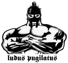 ludus pugilatus