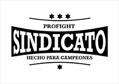 PROFIGHT SINDICATO HECHO PARA CAMPEONES