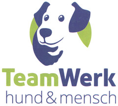 TeamWerk hund & mensch