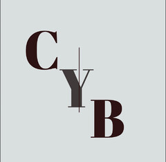 C Y B