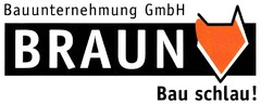 Bauunternehmung GmbH BRAUN Bau schlau!