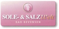 SOLE- & SALZWelt BAD BEVENSEN