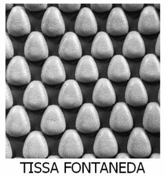 TISSA FONTANEDA