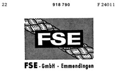 FSE FSE-GmbH Emmendingen