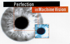 Perfection in Machine Vision