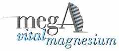 megA vital magnesium