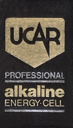 UCAR PROFESSIONAL