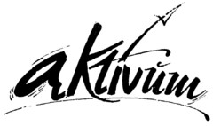 aktivum