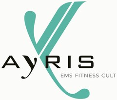 AYRIS EMS FITNESS CULT