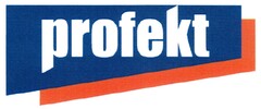 profekt