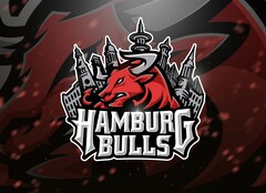 HAMBURG BULLS