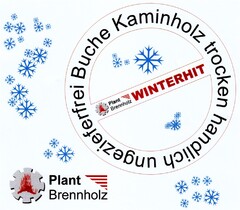 Plant Brennholz WINTERHIT