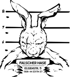 FALSCHER HASE